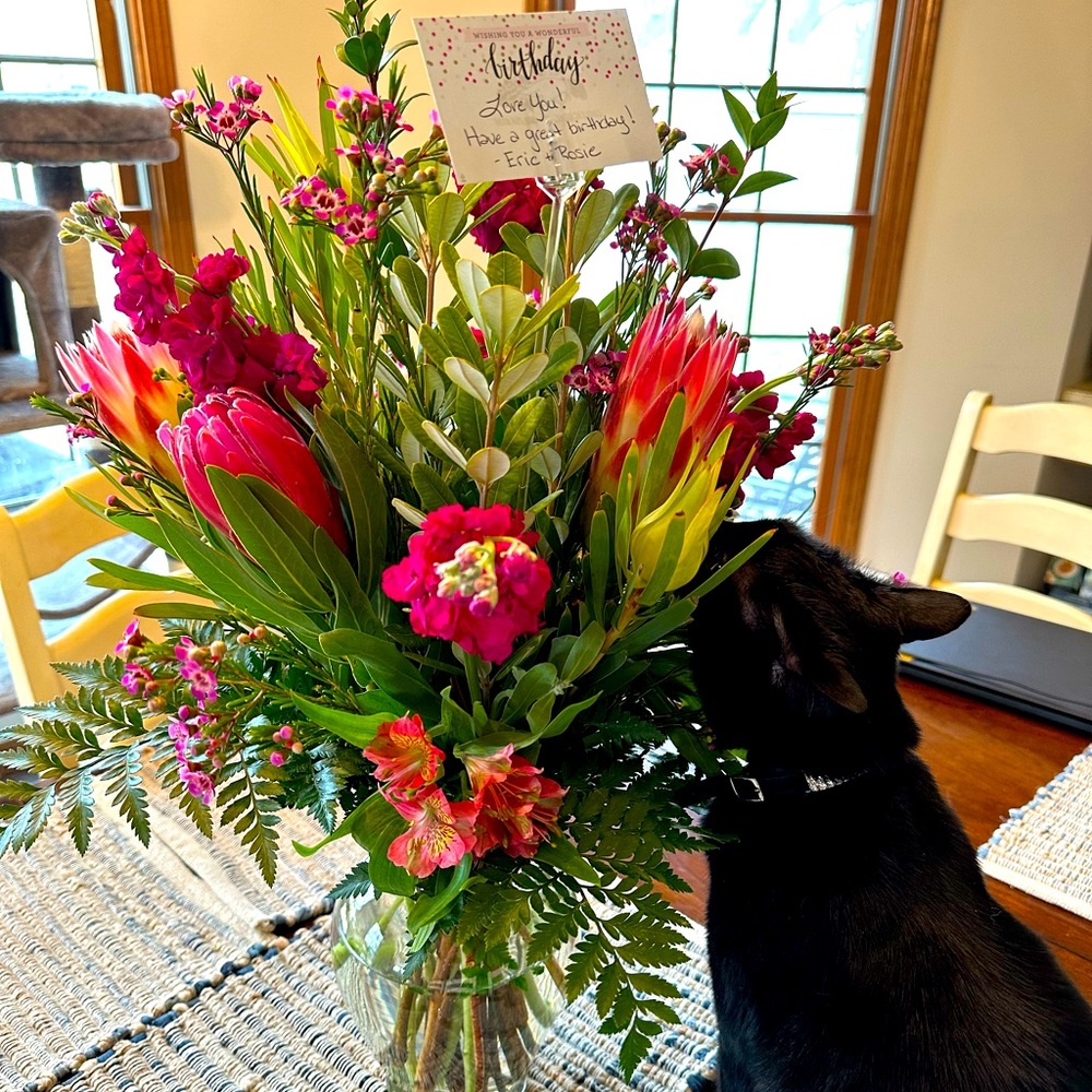 Happy Valentine’s Day PFF’s Comments full go 3rd FG♥️🐈‍⬛🦋💛🌸Top of Closet🐈‍⬛ - Picture 10 of 10